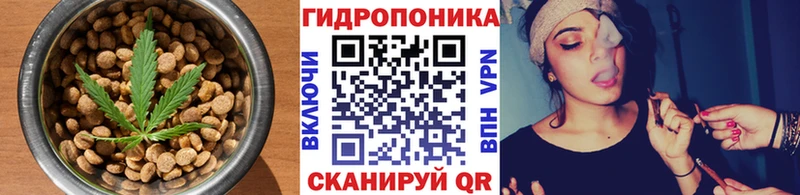 где продают наркотики  Дигора  Cannafood марихуана 