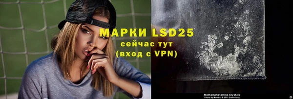 прущие крисы Бородино