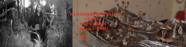 синтетический гашиш Бронницы
