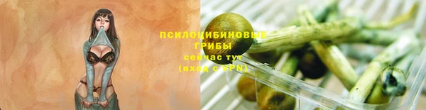 прущие крисы Бугульма
