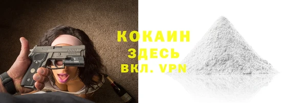 прущие крисы Бородино