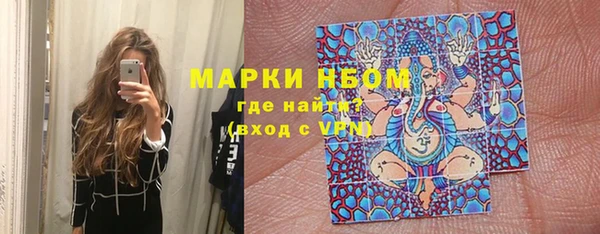 прущие крисы Бородино