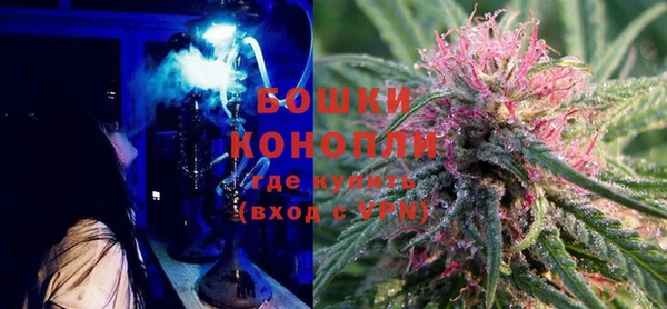 прущие крисы Бородино