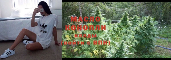 прущие крисы Бородино