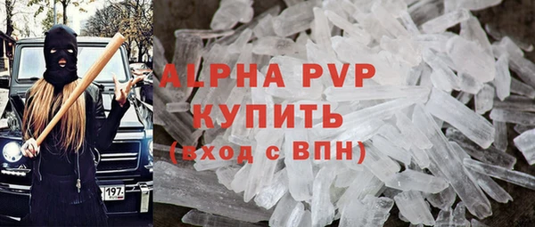 PSILOCYBIN Богданович