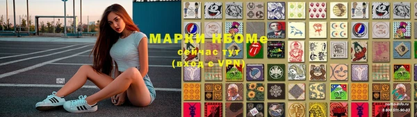 прущие крисы Бородино