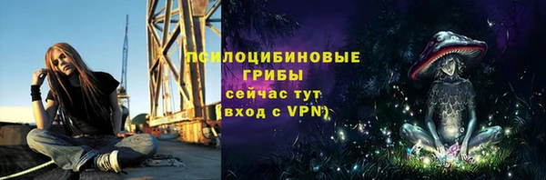 прущие крисы Бородино