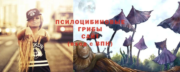 прущие крисы Бородино
