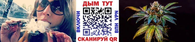 Бошки марихуана семена  Дигора 